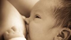 Donbaby S�t Sa�ma Makinesi