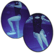 40010 THERA-BAND DENGE BORDU