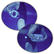 40100 THERA-BAND KICKROLLER