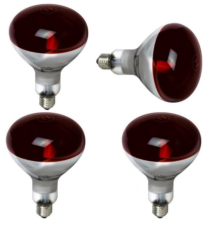 Ledvance 250W Kırmızı İnfrared Isıtan Ampul 4 adet
