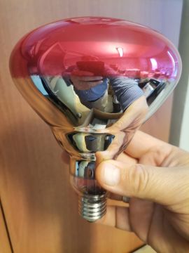 Ledvance İnfrared Lamba 250W E27 Kırmızı İnfraruj Ampul