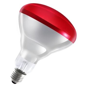 Ledvance İnfrared Lamba 250W E27 Kırmızı İnfraruj Ampul
