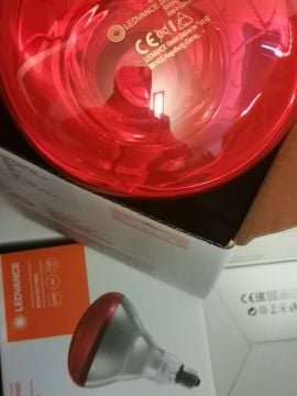 Ledvance İnfrared Lamba 250W E27 Kırmızı İnfraruj Ampul