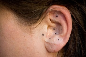 Hua-Long Ear Seeds Kulak Tohumu 100 Adet