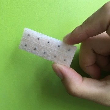 Ear Seeds Kulak Tohumu 100 Adet